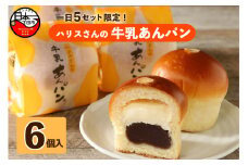 【平井製菓】“大人気”ハリスさんの牛乳あんぱん6個入り　[パン あんぱん スイーツ おやつ 牛乳あんぱん お取り寄せ ギフト フレッシュ バター こしあん あんこ 6個 常温 冷蔵 ハリスさんの牛乳あんぱん 平井製菓 静岡 伊豆 下田 詰め合わせ 大人気 敬老の日 化粧箱 個包装 プレゼント 贈答]