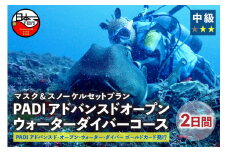 ＜ドラゴンレディ＞PADIアドバンスドオープンウォーターダイバーコース&マスク・スノーケルセットプラン