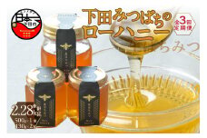 ＜下田みつばち＞下田産ローハニー(生はちみつ)3本セット　定期便　6ヶ月　3回 [はちみつ 国産 非加熱 百花蜜 生はちみつ 純粋 ハチミツ 蜂蜜 ハニー ローハニー お取り寄せ お土産 ビタミン ミネラル 無添加 発酵食品 セット 130g 2本 500g 1本 下田みつばちのローハニー 静岡 伊豆 下田産]