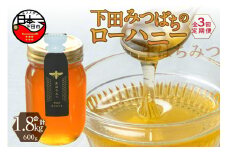 ＜下田みつばち＞下田産ローハニー(生はちみつ)600g　定期便　6ヶ月　3回 [はちみつ 国産 非加熱 百花蜜 生はちみつ 純粋 ハチミツ 蜂蜜 ハニー ローハニー お取り寄せ お土産 ビタミン ミネラル 無添加 発酵食品 セット 600g 1本 下田みつばちのローハニー 静岡 伊豆 下田産]