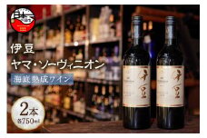 海底熟成伊豆ヤマ・ソーヴィニオン（750ml×2本）