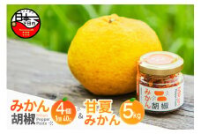 ＜NEED U＞みかん胡椒と甘夏みかんセット  [みかん 胡椒 薬味 とうがらし 蓮台寺駅 フードロス 無添加 柑橘 静岡 伊豆 下田]