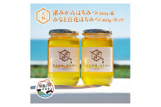 浜名湖ほとりで採れた天然はちみつ 渚みかんはちみつ・みなと百花はちみつ 各460g 2本セット【1394028】