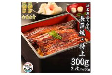 浜名湖産うなぎ　特上・長蒲焼2枚入り【1488541】