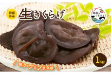 ＜静岡県産＞生きくらげ　1kg【1391786】