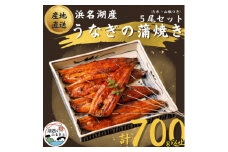 ＜国産＞浜名湖うなぎ蒲焼き140g以上　5本セット(たれ・山椒付き)_うなぎ 鰻 ウナギ 浜名湖 静岡県 湖西市 蒲焼き かば焼き 蒲焼 たれ 山椒 土用 丑の日 人気 美味しい 惣菜 おかず おつまみ 真空パック 冷凍 送料無料【1487457】