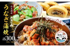 きざみうなぎ蒲焼 約50g×6個_ うなぎ 鰻 ウナギ かば焼き 蒲焼き かば焼 浜名湖 浜名湖産 静岡県 湖西市 人気 美味しい お惣菜 おかず 魚 国産 国産うなぎ 【1389401】