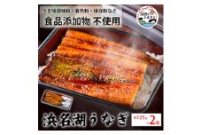 食品添加物不使用の浜名湖うなぎ　蒲焼2尾(約125g×2)【1472420】