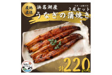 ＜国産＞浜名湖うなぎ蒲焼き110g以上　2本セット(たれ・山椒付き)【1487458】