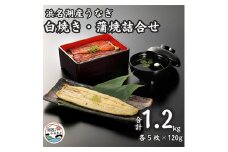 浜名湖産うなぎ　白焼・蒲焼パック各5パック詰合せ【1488846】