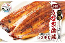 特撰浜名湖うなぎ蒲焼140g×2尾【1497488】