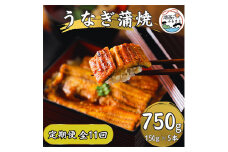 ＜発送月固定定期便＞＜産地直送＞浜名湖産　うなぎ蒲焼 約150g×5尾[かわべのうなぎ]全11回【4013246】