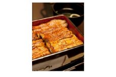 備長炭手焼きうなぎ蒲焼 約120g×5枚【1506375】