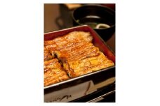 備長炭手焼きうなぎ蒲焼 約120g×10枚【1506378】
