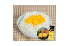 ＜発送月固定定期便＞〈毎月発送〉うずらの卵満足セット全12回【4051106】