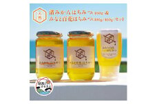浜名湖ほとり 渚みかんはちみつ・みなと百花はちみつ 各460g・みなと百花はちみつ 300g　3本【1390461】