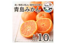 ＜先行受付＞＜2026年1月初旬頃より順次出荷予定＞青島みかん約10kg Lサイズ〔鈴木農園〕【1510095】