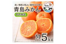 ＜年内発送＞＜12月中旬より順次出荷予定＞青島みかん約5kg Mサイズ〔鈴木農園〕【1510098】