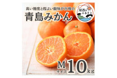 ＜先行受付＞＜2026年1月初旬頃より順次出荷予定＞青島みかん約10kg Mサイズ〔鈴木農園〕【1510099】