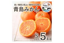 ＜先行受付＞＜2026年1月より順次出荷予定＞青島みかん約5kg Sサイズ〔鈴木農園〕【1510103】