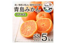 ＜年内発送＞＜12月より順次出荷予定＞青島みかん約5kg SSサイズ〔鈴木農園〕【1510102】