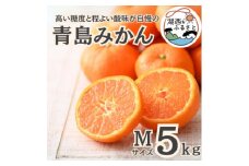 ＜先行受付＞＜2026年1月初旬頃より順次出荷予定＞青島みかん約5kg Mサイズ〔鈴木農園〕【1510104】