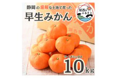 ＜先行受付＞＜11月上旬より順次出荷予定＞早生みかん約10kg サイズミックス〔鈴木農園〕【1510106】