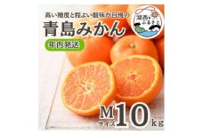 ＜年内発送＞＜12月中旬より順次出荷予定＞青島みかん約10kg Mサイズ〔鈴木農園〕【1510115】