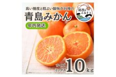 ＜年内発送＞＜12月中旬より順次出荷予定＞青島みかん約10kgサイズミックス〔鈴木農園〕【1510113】