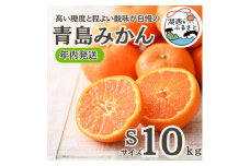 ＜年内発送＞＜12月中旬より順次出荷予定＞青島みかん約10kg Sサイズ〔鈴木農園〕【1510118】