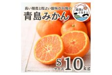 ＜先行受付＞＜2026年1月初旬頃より順次出荷予定＞青島みかん約10kg Sサイズ〔鈴木農園〕【1510123】