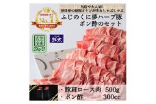 湖西市産ブランド豚「ふじのくに夢ハーブ豚」しゃぶしゃぶ用肩ロース肉(500g)と手作りポン酢のセット【1497517】
