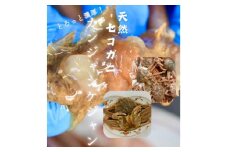 ＜漁師特製＞セイコガニカンジャンケジャン5杯【1499159】