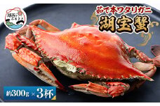 ＜浜名湖産＞茹で湖宝蟹3杯【1499171】