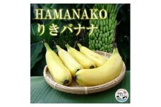 HAMANAKO　りき　バナナ 箱入り 5本(各160~190g)【1525861】