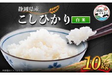 ＜2025年9月発送＞こしひかり 白米 10kg【1537422】