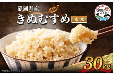 ＜2025年10月発送＞きぬむすめ 玄米 30kg【1537435】
