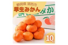 ＜2024年11月発送開始＞浜名湖の「早生みかん」10kg【1537439】