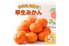 ＜2024年11月発送開始＞浜名湖の「早生みかん」5kg【1537440】