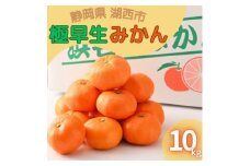 ＜2024年10月発送開始＞浜名湖の「極早生みかん」10kg【1537441】