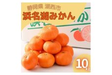 ＜2024年12月発送＞浜名湖の「普通温州みかん」10kg【1537443】