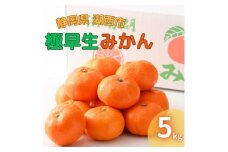 ＜2024年10月発送開始＞浜名湖の「極早生みかん」5kg【1537442】