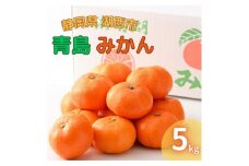 ＜2025年1月発送＞浜名湖の「青島みかん」5kg【1537448】