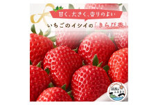 ＜静岡県産いちご＞きらぴ香 280g×2パック【1561173】