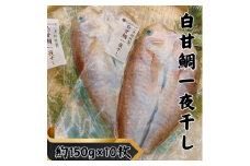 ＜遠州灘産＞白甘鯛の一夜干し　約150g×10枚【1587740】