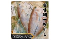 ＜遠州灘産＞白甘鯛の一夜干し　約150g×20枚【1587743】