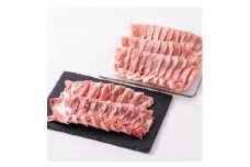 ＜豚肉 バラエティセット＞湖西ポークB 焼肉セット(ロース・肩ロース)約1.5kg 静岡県湖西市産【1635235】