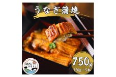 ＜浜名湖産 鰻＞うなぎ蒲焼 約150g×5尾[かわべのうなぎ][産地直送][冷凍]【1664747】