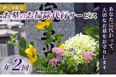 （伊豆市限定）お墓のお掃除代行サービス 年2回 【お彼岸 お盆 掃除  お参り 献花 伊豆 静岡県】034-005