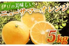 （先行予約・限定3０セット・4月～５月発送）ニューサマーオレンジ（5kg）【静岡県 伊豆市 果物  柑橘類 】010-012